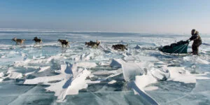 Capture d'écran du documentaire Odysée Sauvage