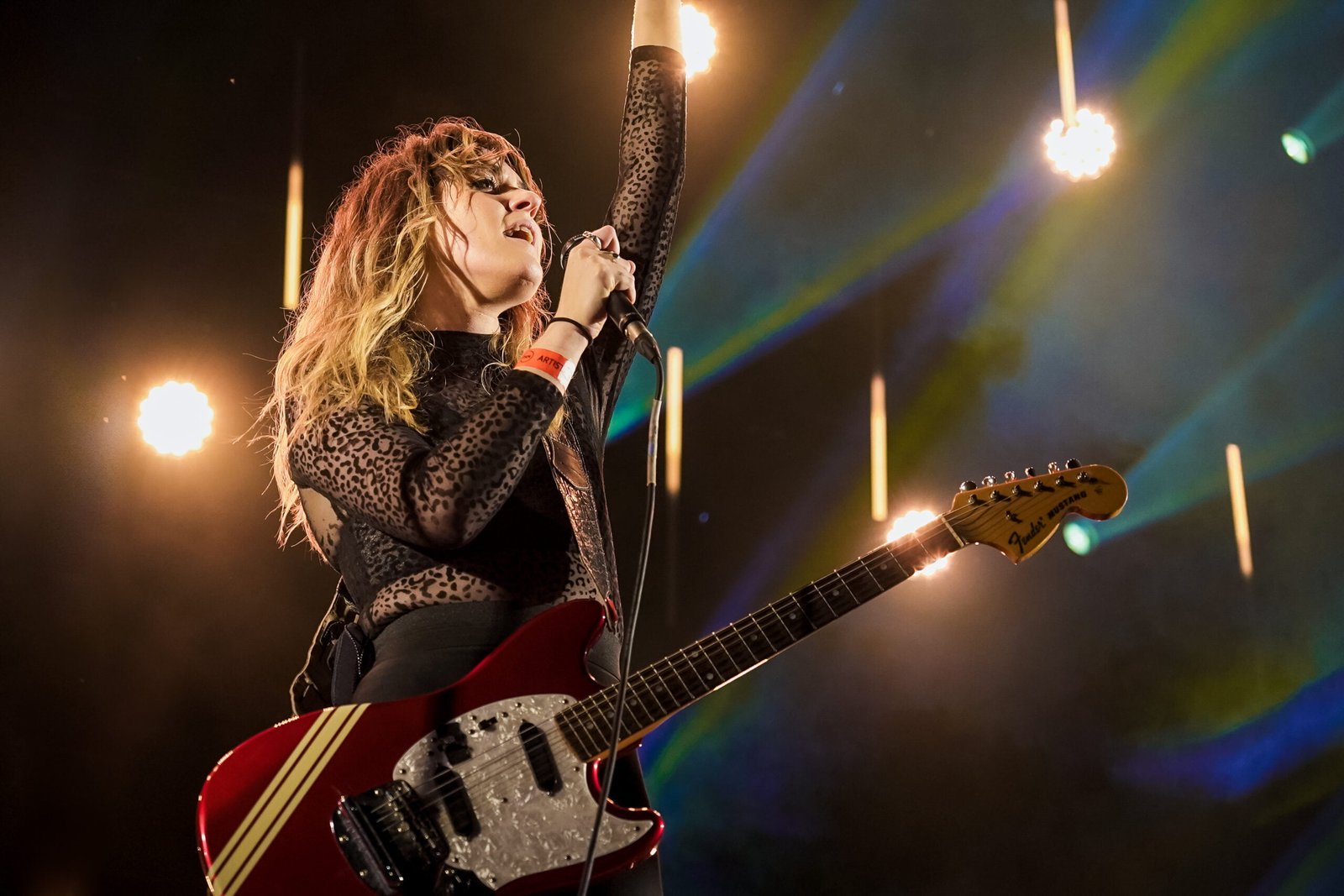 Photographie de concert des Papillons de Nuit 2022